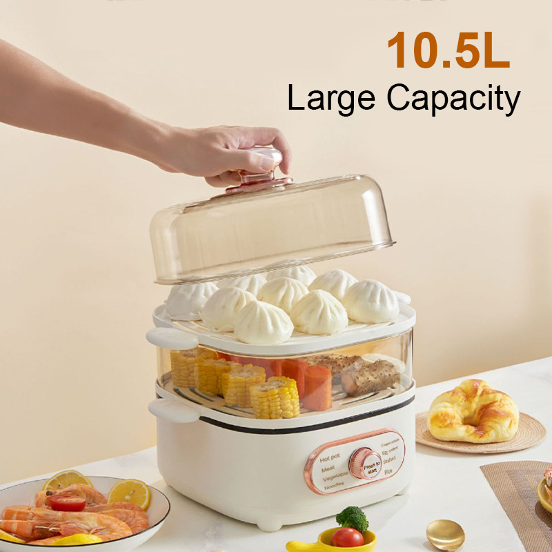 Elektrischer Dampfgarer Für Gesundes Kochen Im Haushalt_voghion.com