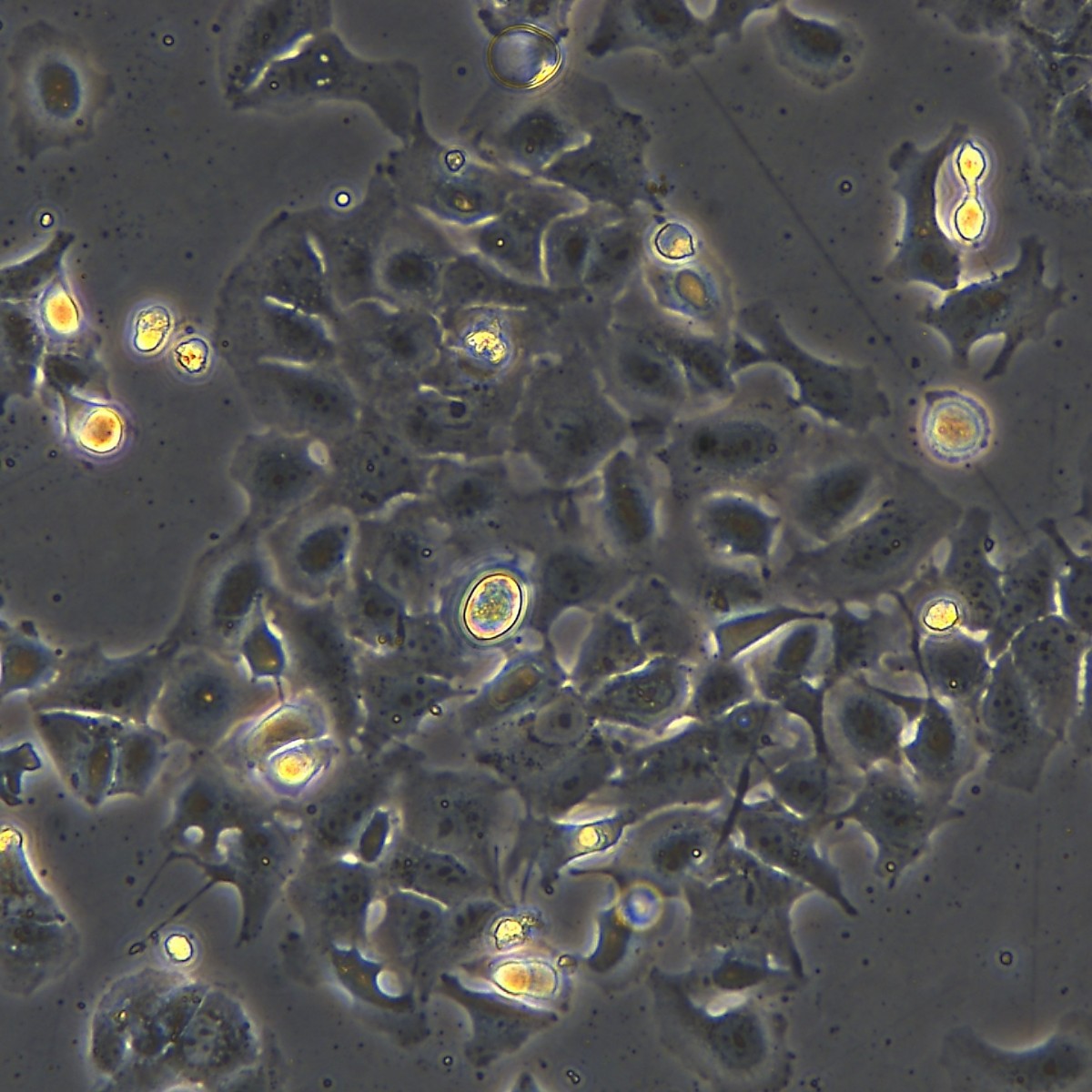 2025-11-04 16:00:02.jpg