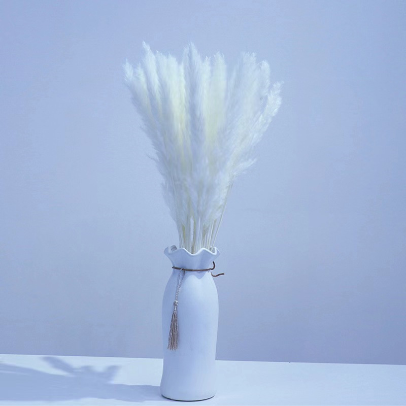 작은 흰색 갈대(15개들이 1다발)