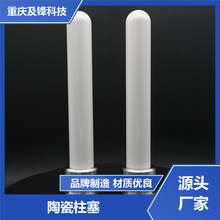 陶瓷用柱塞泥漿泵 一件批發 質地堅硬 化學性能穩定 及鋒