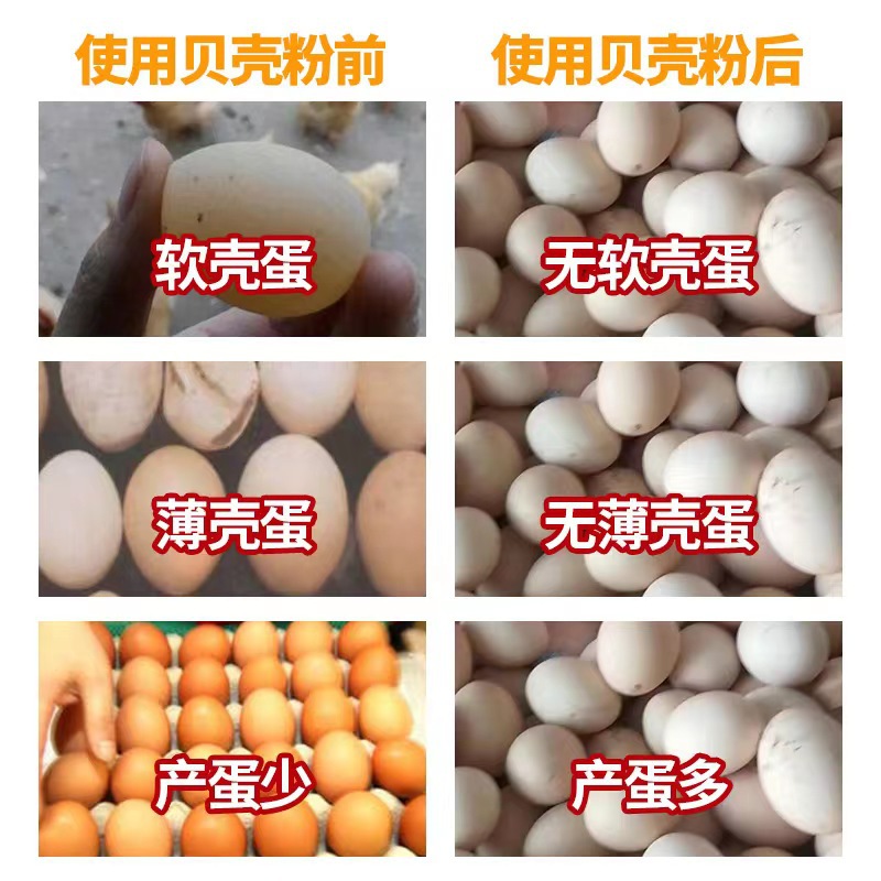 微信圖片_20220622164632