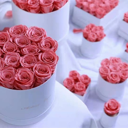 Yongsheng flor abrazo cubo regalo del Día del Maestro Yongsheng flor transfronteriza Amazon regalo caliente Rose