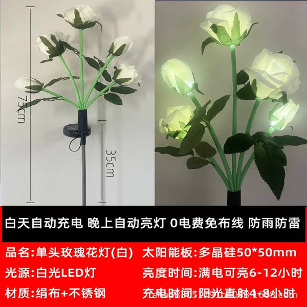 Solar-5 head-white rose (nude)
