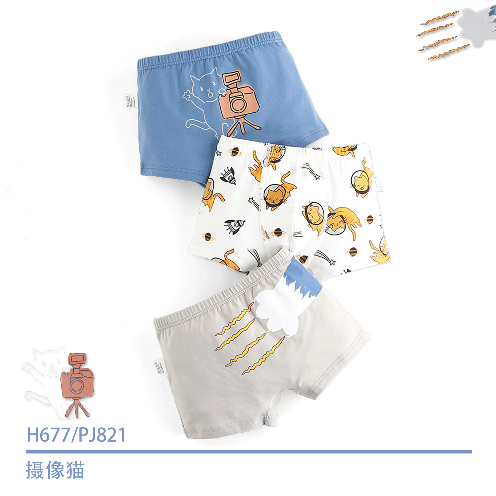 H677/사진 촬영 고양이 PJ821