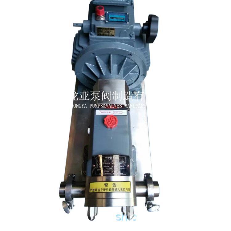 供应LQ3A-52加压转子泵组 永磁糖浆转子泵 豆瓣酱转子泵