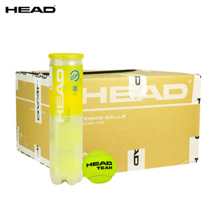 Head Tennis Gold Ball Tourxt Professional Durable High-Elastic Competition Training Ball Team Glue Tank with Pressure