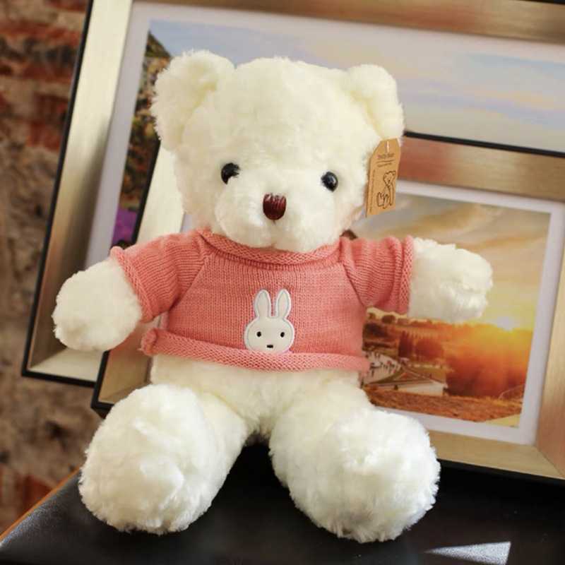 Oso de peluche Osito Muñeca Muñeca Muñeca de trapo Juguete de peluche Día del niño Día de San Valentín chino Regalo de cumpleaños femenino