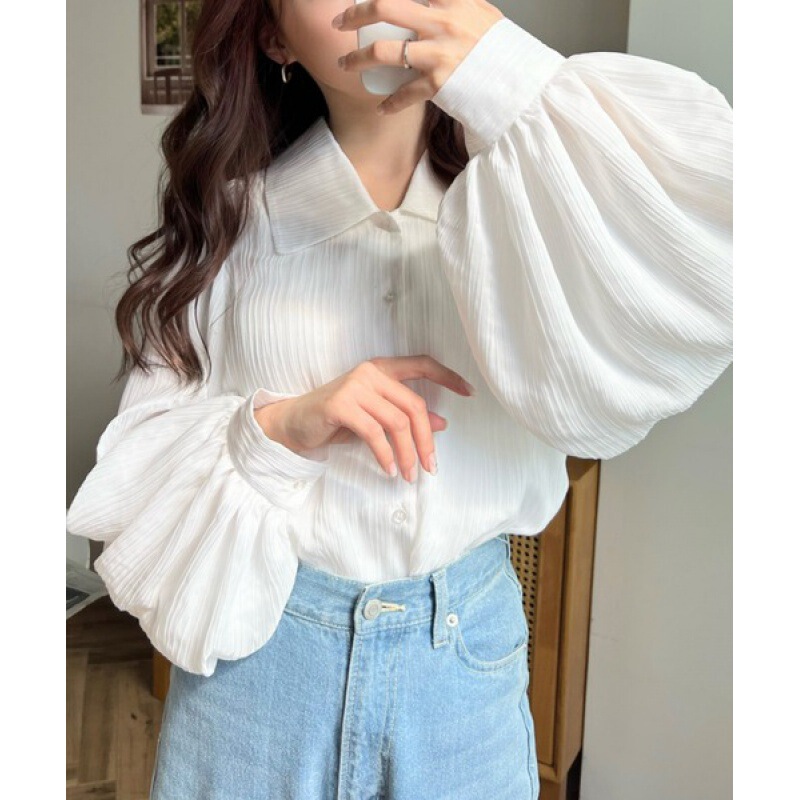 2024 Autumn New Elegant Chiffon Shirt Pleated Texture Lapel Long Sleeve Shirt