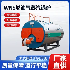 蒸汽发生器;燃生物质锅炉;燃油锅炉