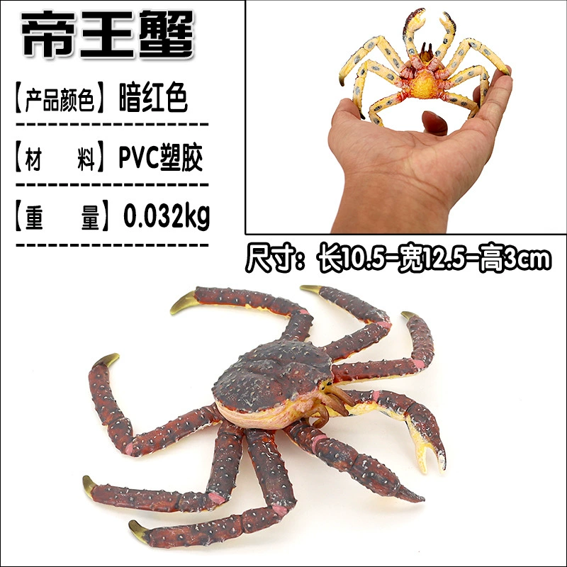 Игрушка, большие морские когнитивные украшения