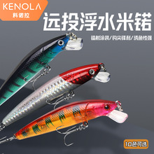 ���Z��·���D���Z10cm/9g��ˮ�������DӲ�D�M�D�羳·���D���Z