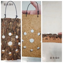 ¹ާܛľȻ㙉Ƥùֲֵ̫