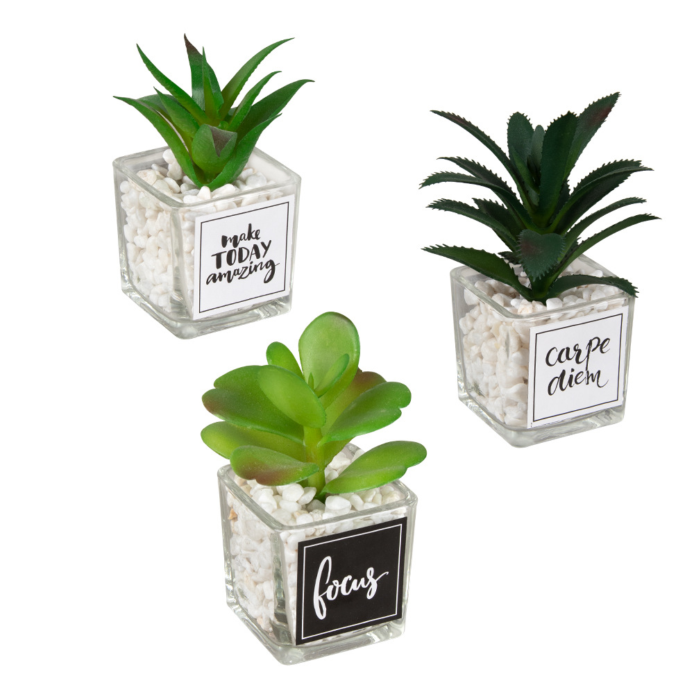 De cinco capas de aloe africano pegatina de vidrio mini suculenta maceta decoración de escritorio simulación planta de piedra artificial bonsai