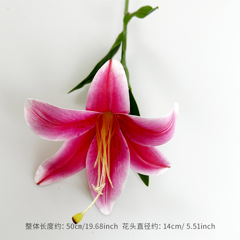 진한 핑크