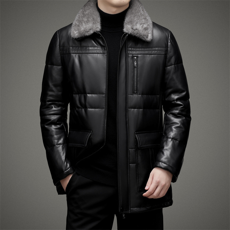 그레이 퍼 칼라