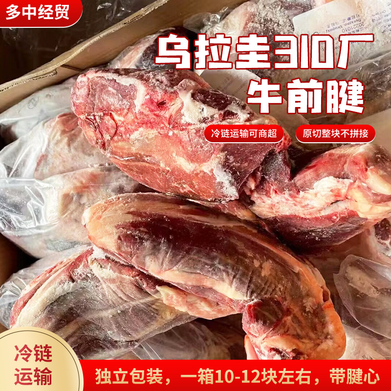 乌拉圭310厂牛前腱 牛腱子冷冻生鲜肉卤炖牛商用食材带腱心肉