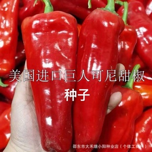 ���˿����𽷷N�Ӿ��������ζ�߮a���Ե��ԷN��