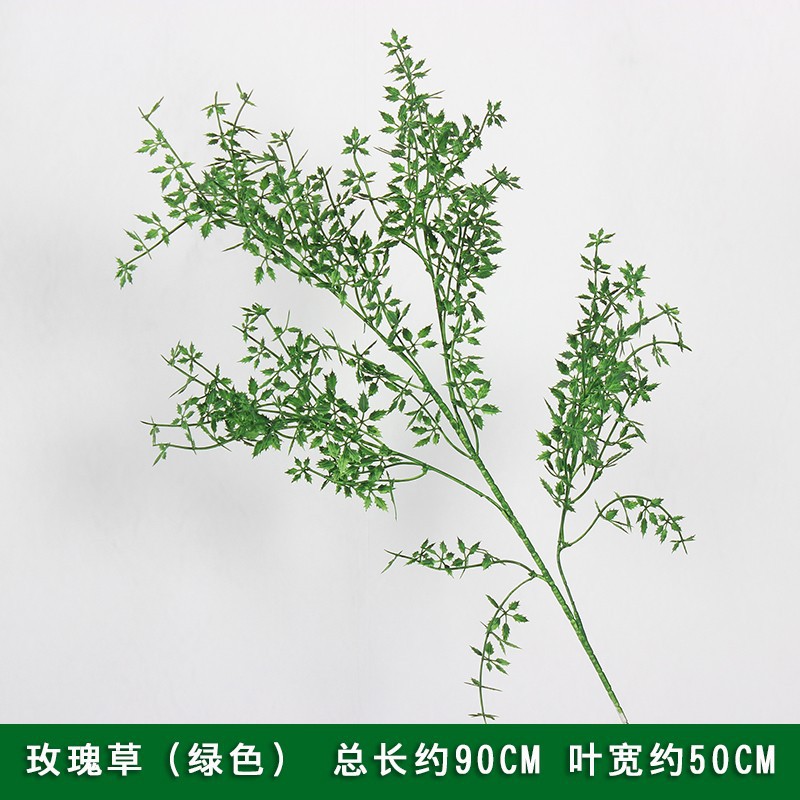 Rose grass