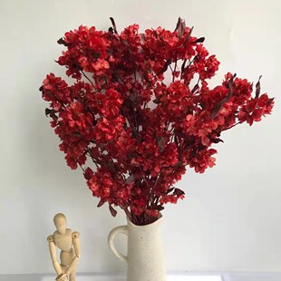 ������ӭ�Ͷ������Ҿӿ͏d�����b������x����