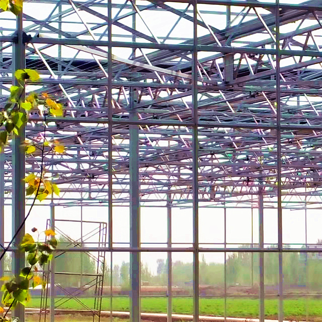 制造销售智能温室  连栋智能温室大棚  太阳能PC板温室
