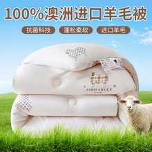 厂家批发100%纯羊毛被子澳洲进口羊毛被加厚保暖羊绒冬被春秋被芯
