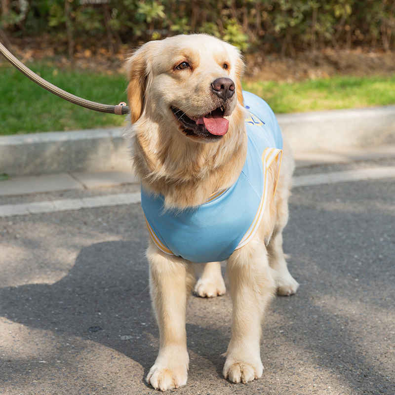 Chaleco de perro grande de primavera y verano Delgado transpirable ropa de dos patas mediano perro grande Golden Retriever Labrador ropa para perros mascotas