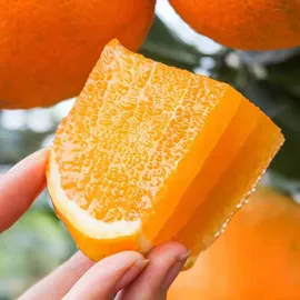 膨化;方便面类;节庆用品