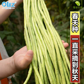 花盆容器;蔬菜种子;复合肥