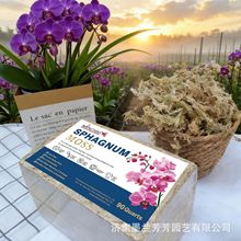 源头工厂直发水苔藓 1.5公斤大包批发价 支持跨境一件代发服务