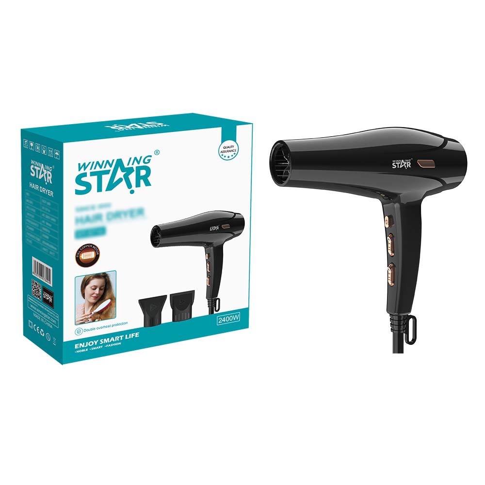 Winning Star comercio exterior hogar frío y caliente velocidad del viento seco de alta potencia anti-secado secador de pelo Hair Dryer