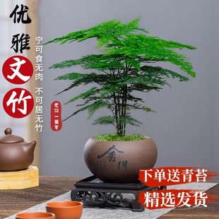 ��������ֲ���҃Ȼ����辰�͏d�k��������С�Gֲ���B����ļ�����