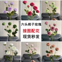 �������^��õ��c�����ʯõ����չʾ�羳���Q��������ܛ�b·����