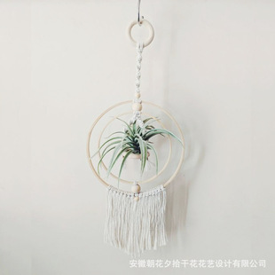 Hand-woven air pineapple ring wooden ring hanger air grass hanging balcony gardening flower shop decoration hanging