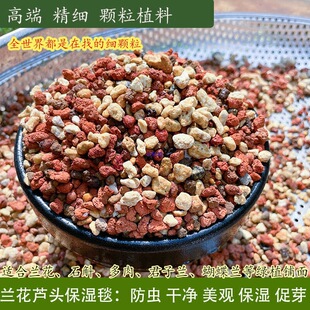 ������ֲ��ʯ����һ������t����ʯ�������o�o������m��