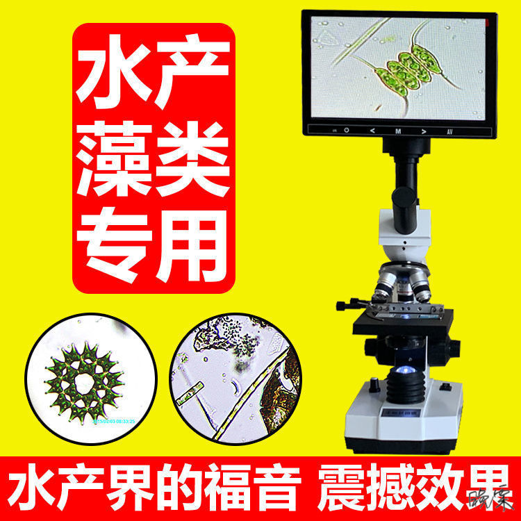带显示屏的显微镜检验微生物工具水产鱼病小球藻观察配件饲养其他