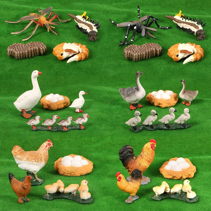 Simulation Animal Evolution Stage Butterfly Bee Beetle Frog Turtle Chicken Solid Life Growth Cycle Set Toy