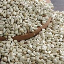 ̫.t șl| t t ˮt ֧șz