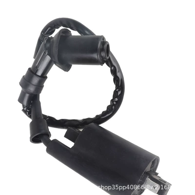 For V-Star250/XV125/XV250/Virago Alovlanma bobini (Babinalar)