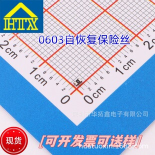 ����TLC�Ի֏ͱ��U�zTLC-FSMD050�۔�������PPTC���U��0.5A6V0603