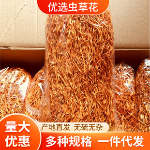 �x�ݻ�500�����r��؛���x�ݽ��Ҝ������x�ݻ����Ҝ����S���l