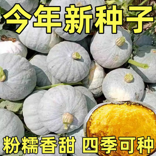 �y�����ϹϷN���y�ҹ�Ƥ������S��Ŵ����ͥԺ���ﴺ�ﲥ�N�ϹϷN