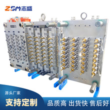 瓶胚32腔模具 一手瓶胚模具 PET瓶胚制造 塑料模具