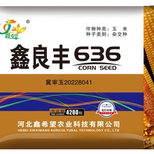 杂交玉米种子2022年审定 红轴 鑫良丰636杂交玉米种