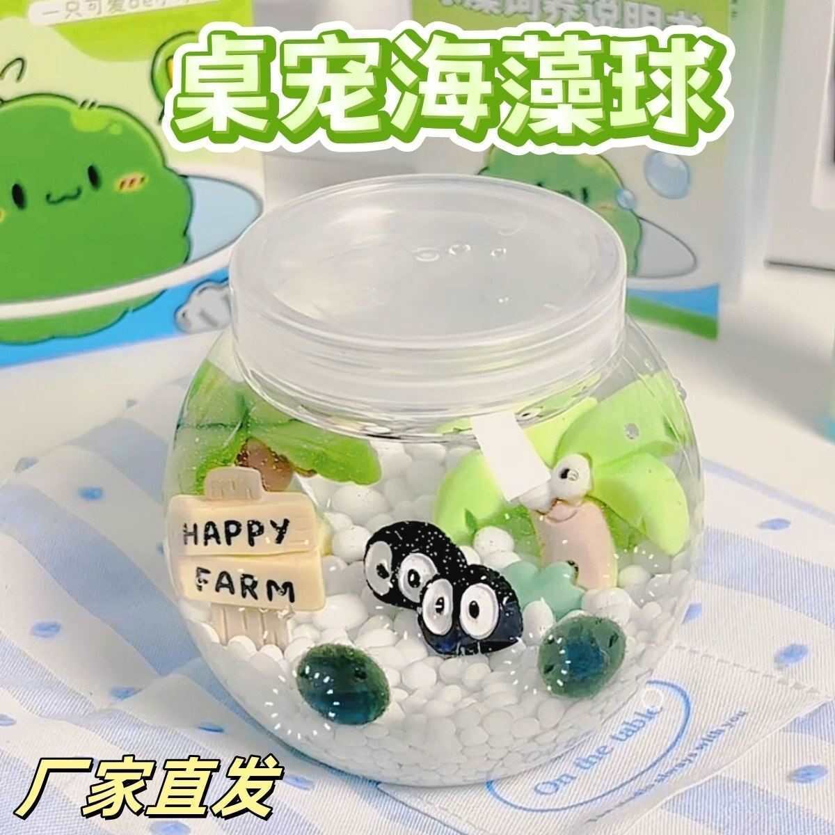 海藻球瓶宠物随身瓶造景炸毛小宠物微景水培植物海藻球缸其他白瓷