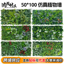 �羳؛Դ����ֲ��쾰�����bGֲ���m�ݷ������ϼٻ��Gֲ�