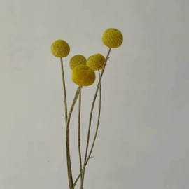 干花;鲜花花艺制品;仿真绿植