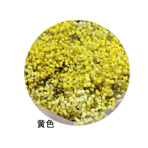 ネイルアートの乾いた花の永遠の命の満天の星の花束は顔の化粧の爪のアクセサリーの光を貼ることができます。|undefined