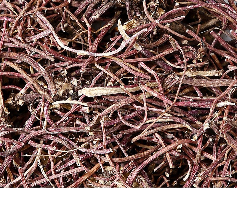 Dried Aster Root Zi Wan 100g Canister Sun Dried Herb for Tea and Decoction in use