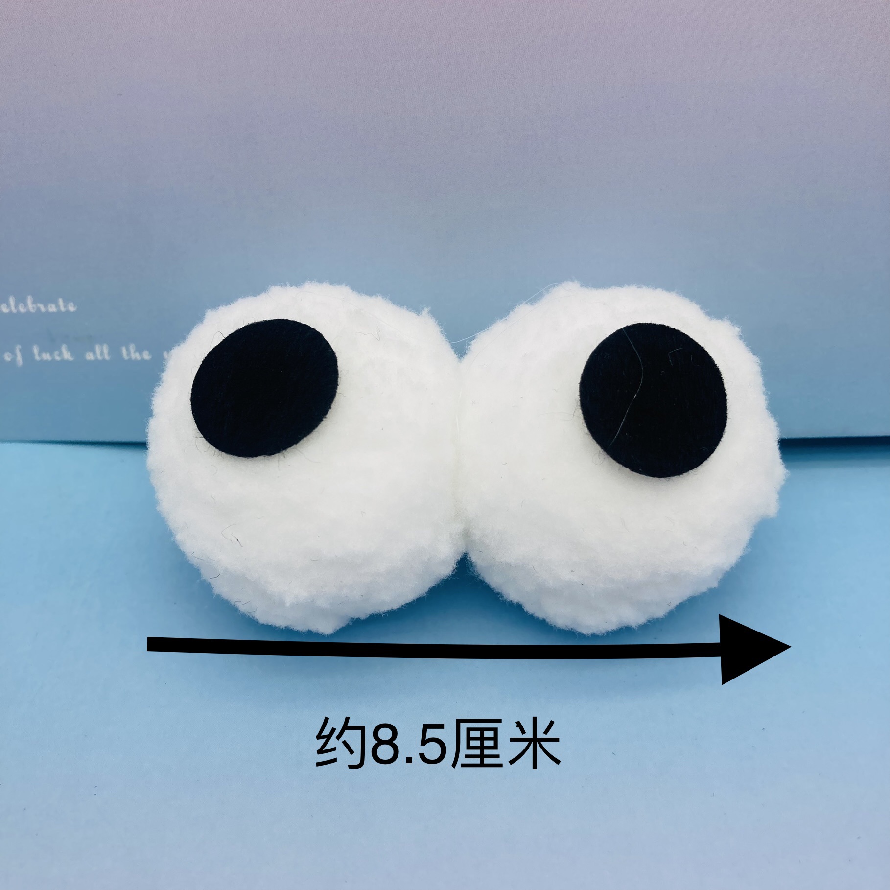 白色眼睛IMG_3626(20231007-103911).