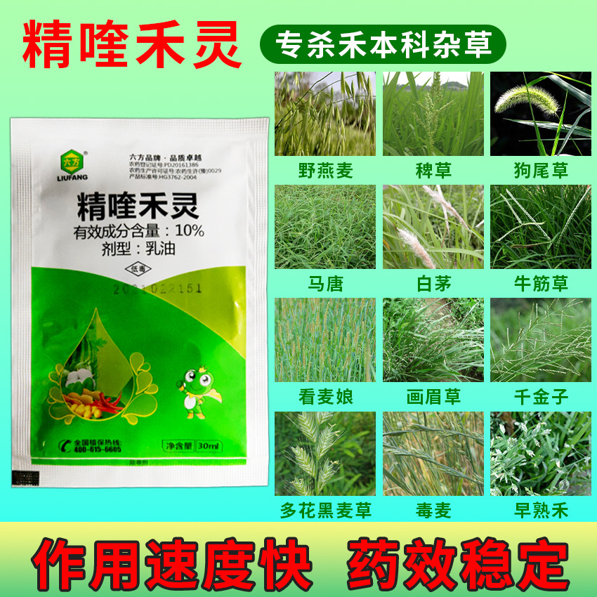 10%精喹禾灵乳油魔芋棉花西瓜禾本科尖叶杂草30ml节节草牛筋草